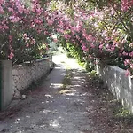 Apartman Ajka