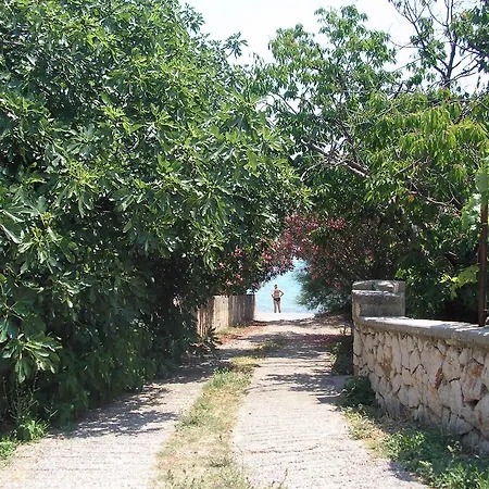 Ajka *